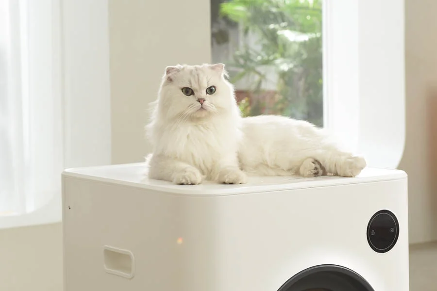 self cleaning litter box reviews