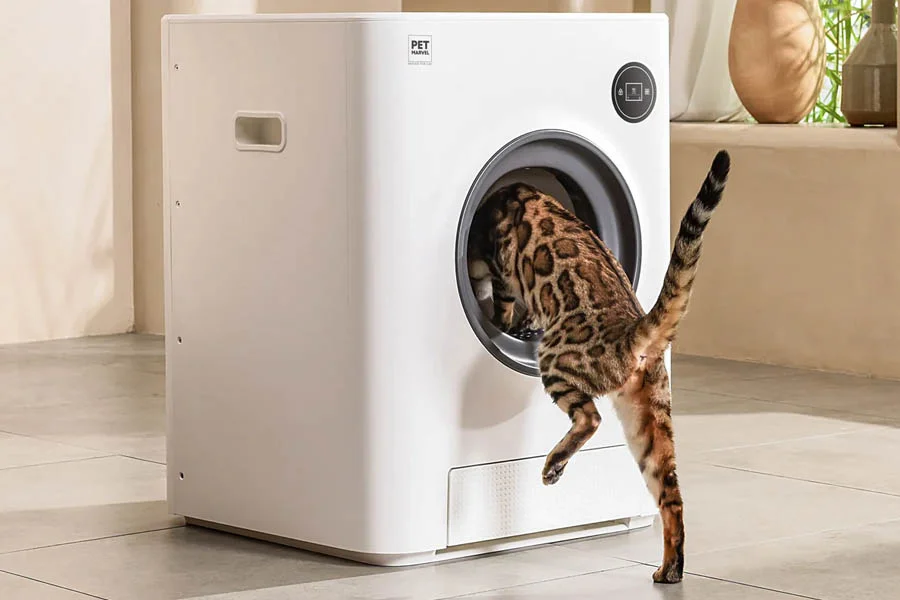 self cleaning litter box reviews